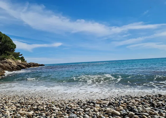 Perle De La Cote *